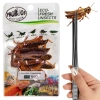 ProBugs Eco-Fresh Grasshopper 8pcs - świeże koniki polne